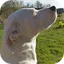 luleyleo